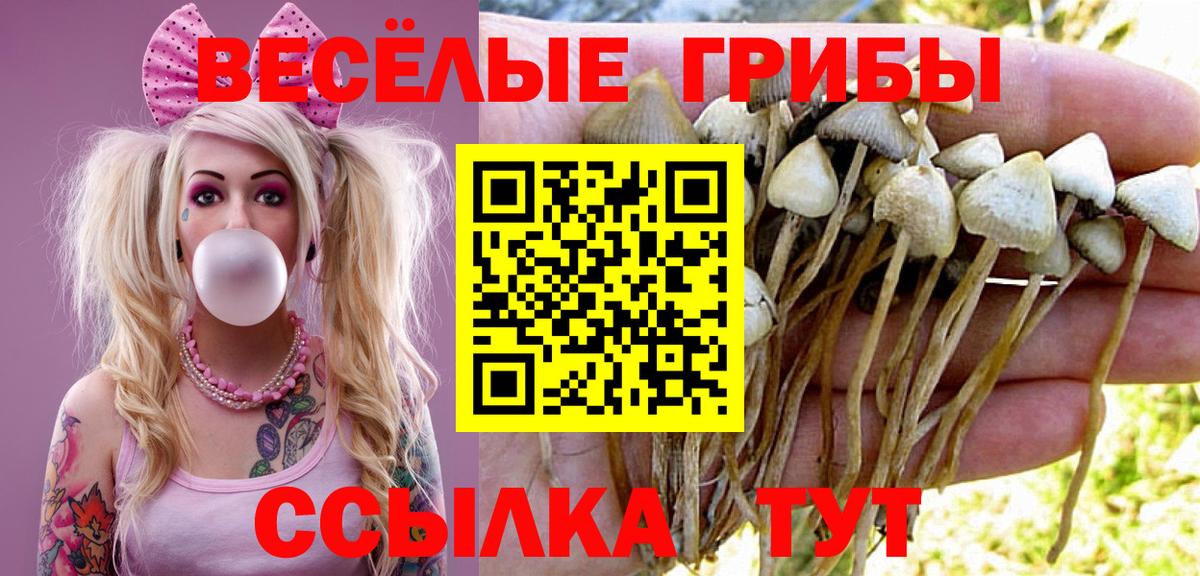 Галлюциногенные грибы MAGIC MUSHROOMS  Галлюциногенные грибы ЛСД  Тимашёвск  Вход с VPN 