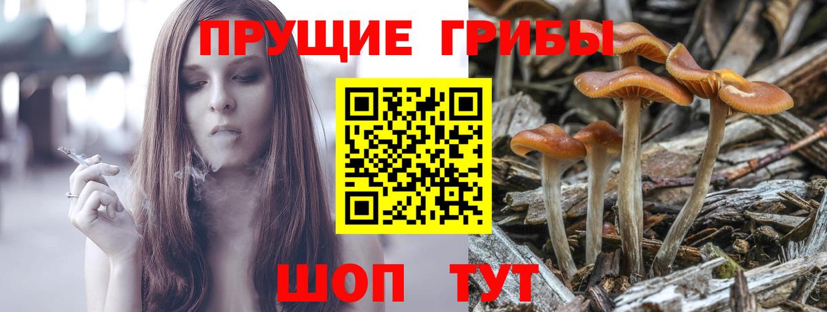 Псилоцибиновые грибы мухоморы Тимашёвск